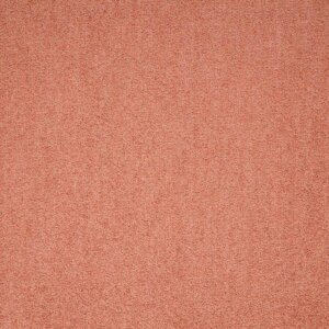 Maestro | Coral, 400