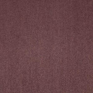 Maestro | Delhi Bazaar, 463