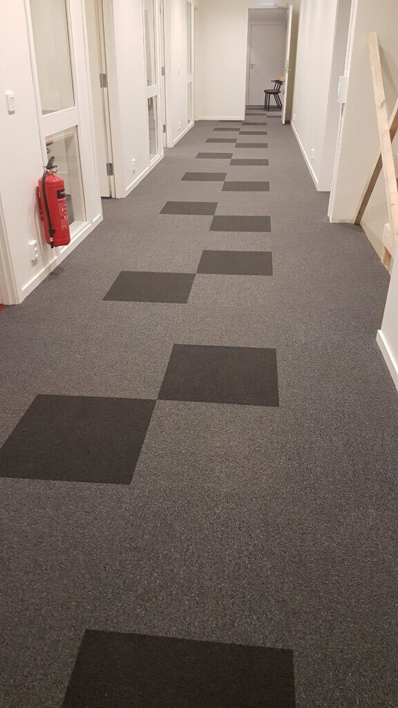 Paragon Carpets Meets Curling Champion Turned Nova Project Installer