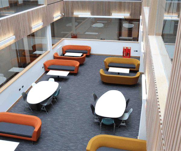 Bring Education to Life this Easter